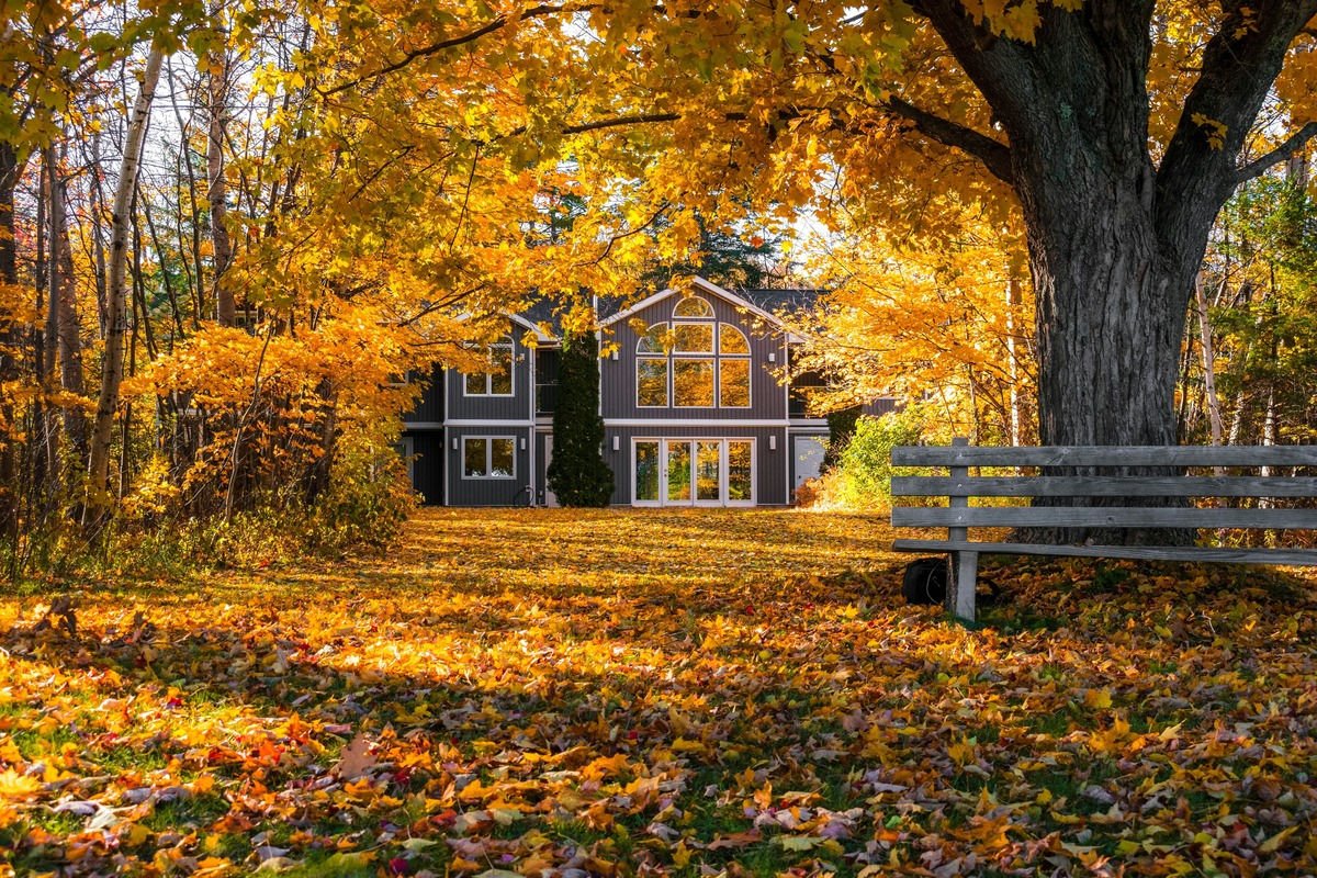 Why Fall Is One of the Best Times to Buy a New Home in the Rio Grande Valley